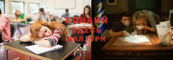 мяу мяу мука Абаза