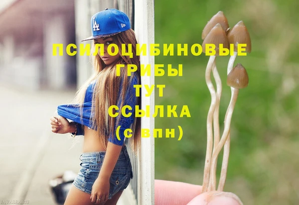 мяу мяу мука Абаза