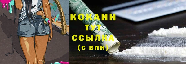 мяу мяу мука Абаза
