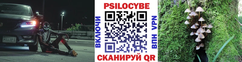 Псилоцибиновые грибы мицелий  Ужур 